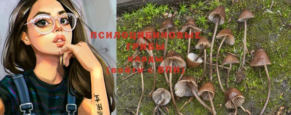 бошки Няндома
