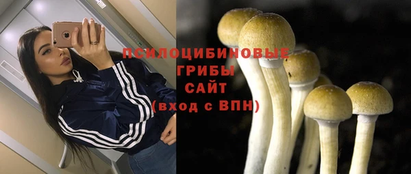 не бодяженный Нязепетровск