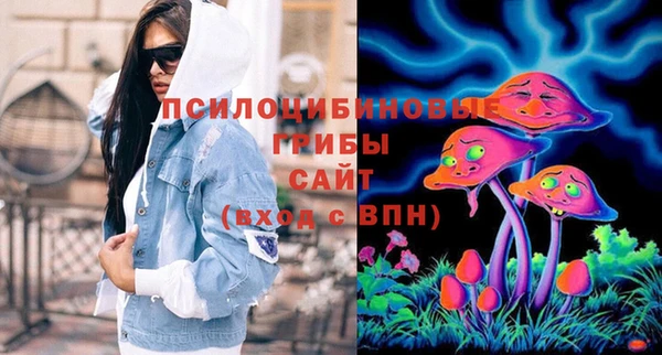 бошки Няндома