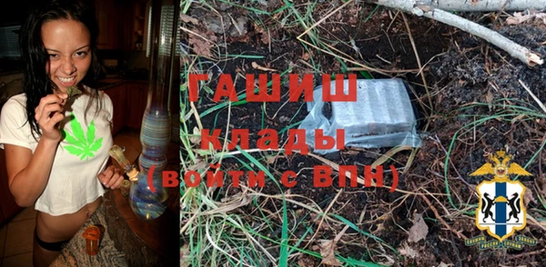 бошки Няндома
