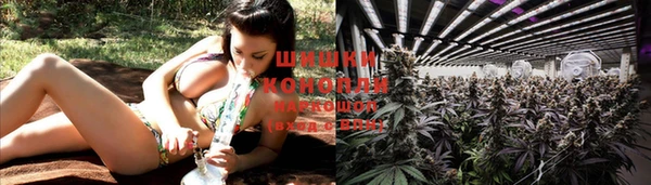 бошки Няндома