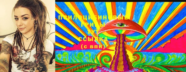 бошки Няндома